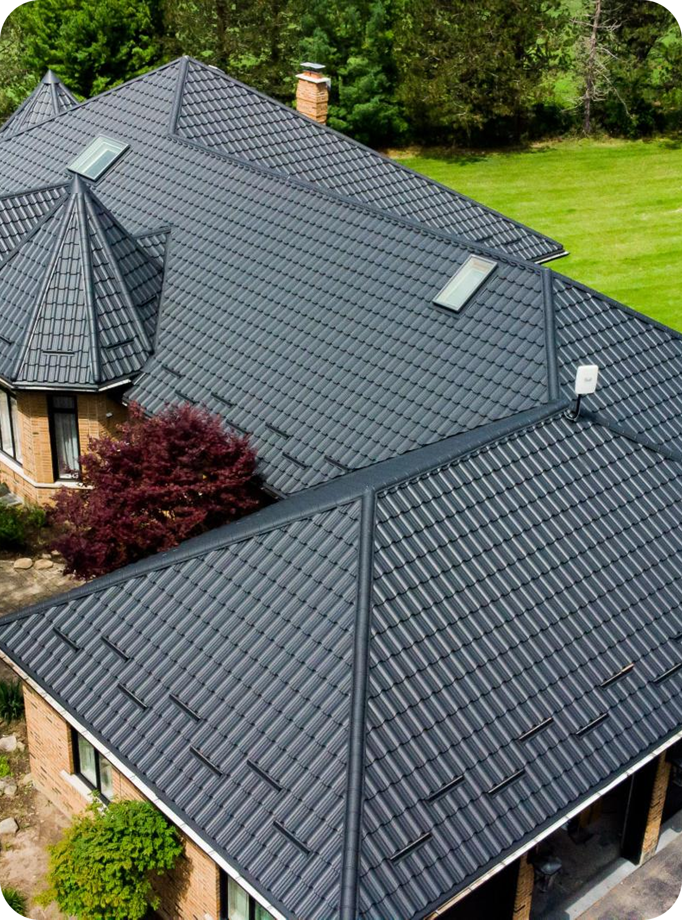 Proiect finalizat Alpina 6